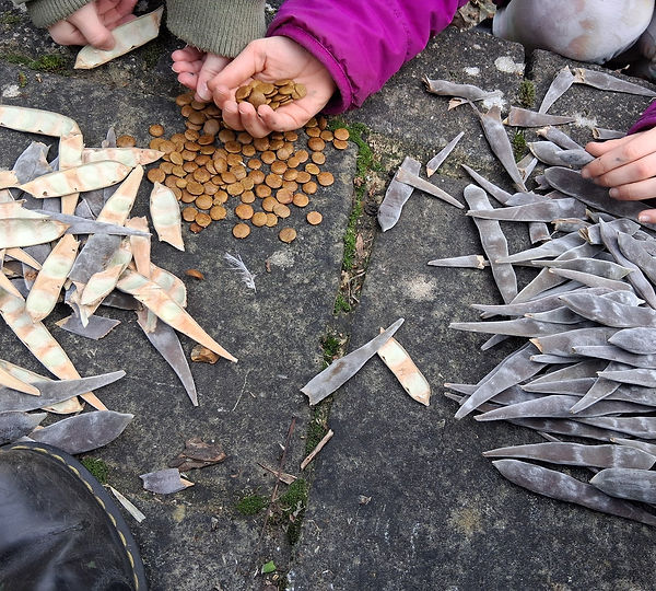 Children exploring nature with seeds and leaves